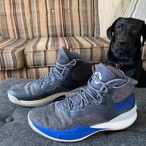 Adidas rose basketball shoe